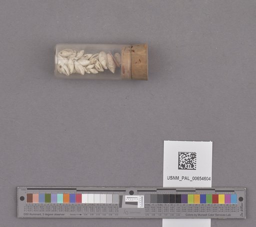 NSF ADBC EPICC TCN