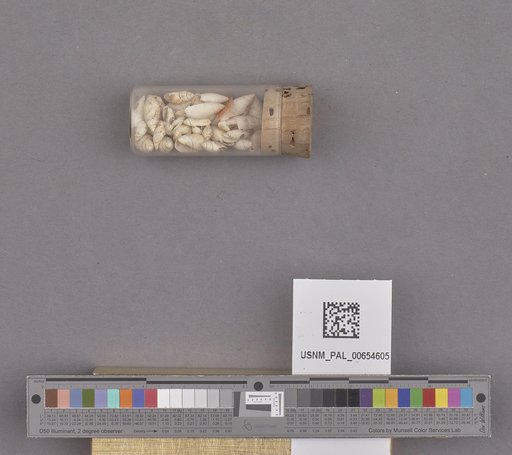 NSF ADBC EPICC TCN