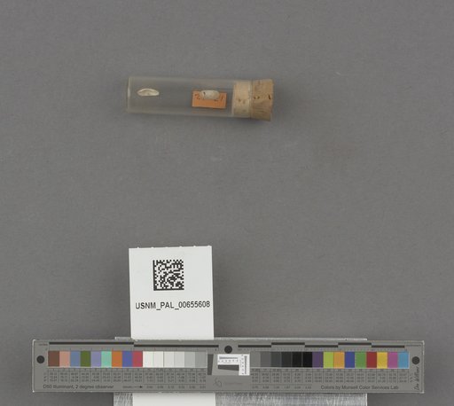NSF ADBC EPICC TCN