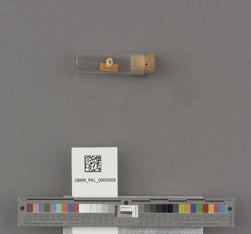 NSF ADBC EPICC TCN