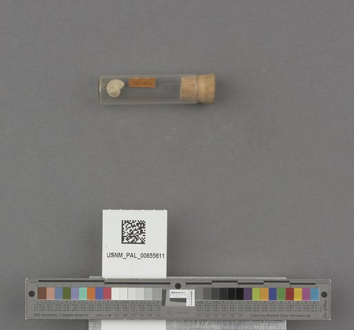 NSF ADBC EPICC TCN