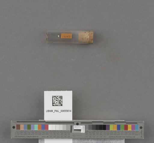 NSF ADBC EPICC TCN