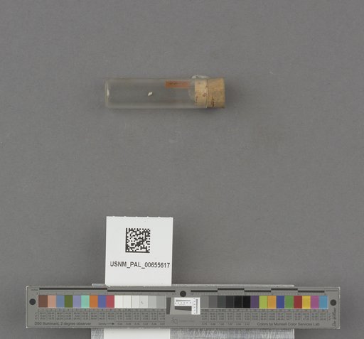 NSF ADBC EPICC TCN