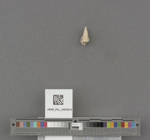 NSF ADBC EPICC TCN