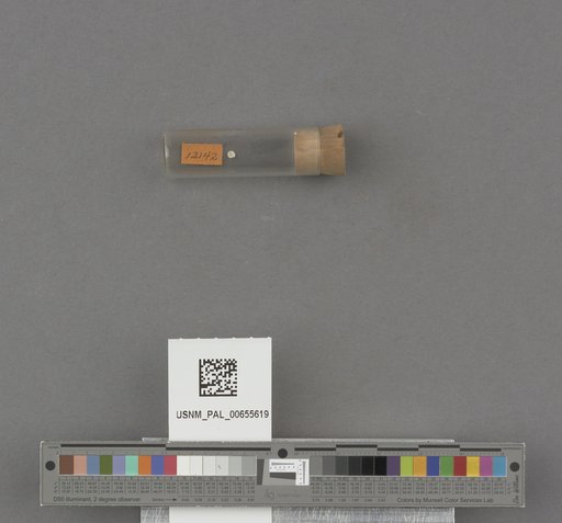 NSF ADBC EPICC TCN
