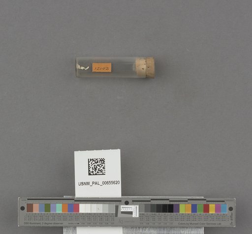 NSF ADBC EPICC TCN