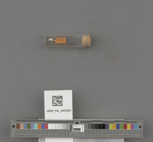 NSF ADBC EPICC TCN