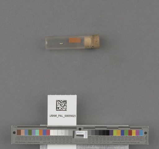 NSF ADBC EPICC TCN