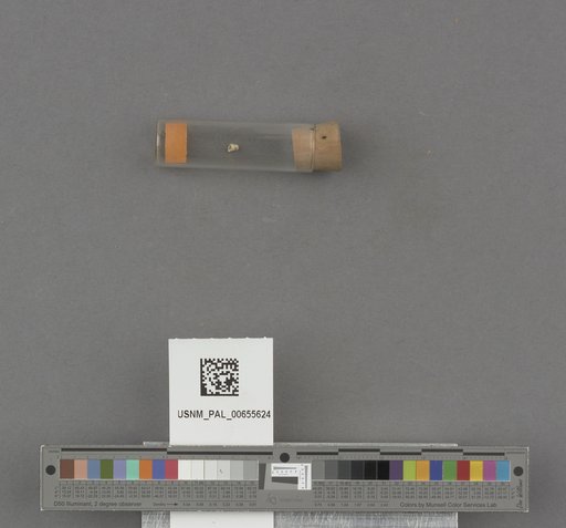 NSF ADBC EPICC TCN
