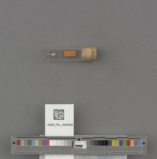 NSF ADBC EPICC TCN