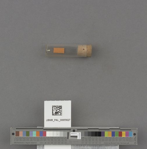 NSF ADBC EPICC TCN