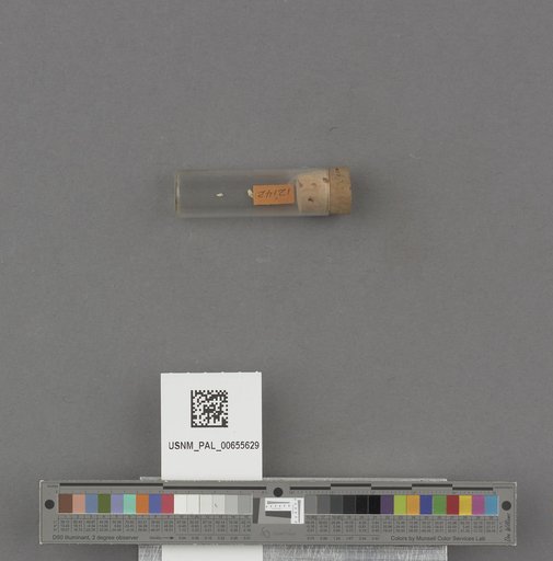NSF ADBC EPICC TCN