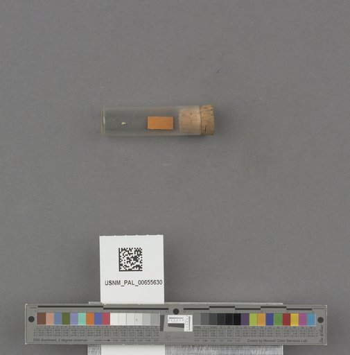 NSF ADBC EPICC TCN