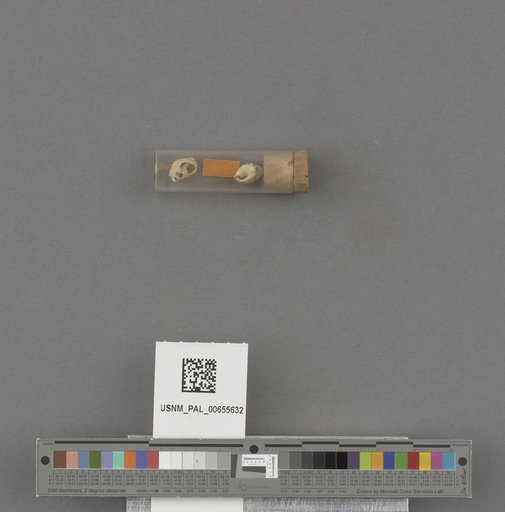 NSF ADBC EPICC TCN