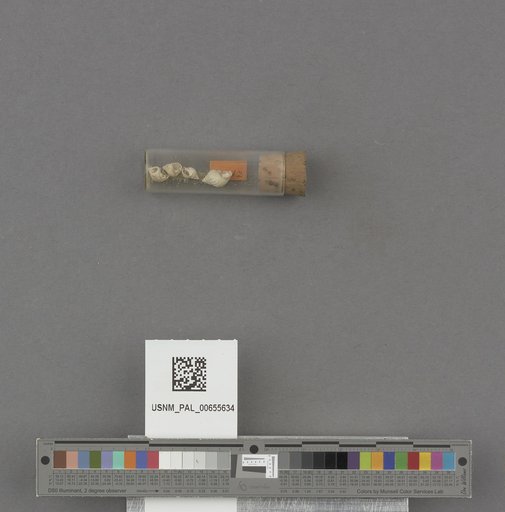 NSF ADBC EPICC TCN