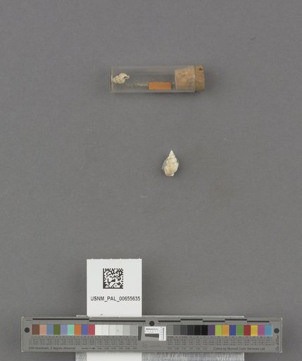 NSF ADBC EPICC TCN