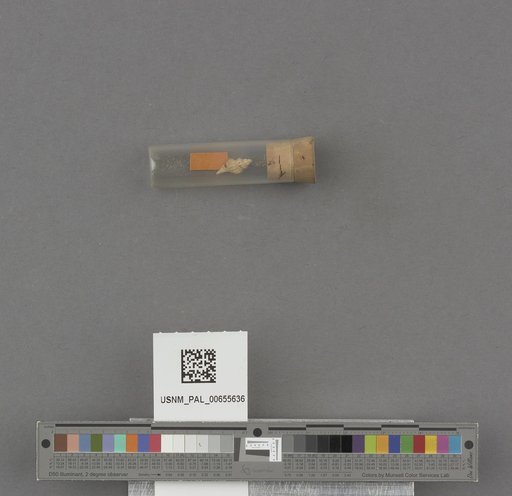 NSF ADBC EPICC TCN