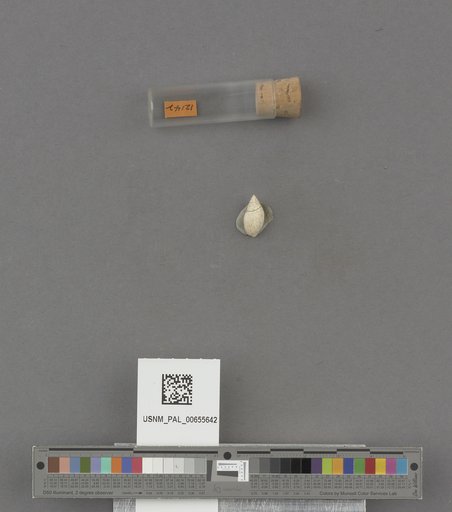 NSF ADBC EPICC TCN