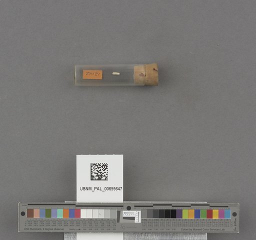 NSF ADBC EPICC TCN