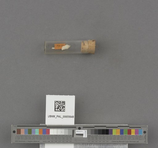 NSF ADBC EPICC TCN