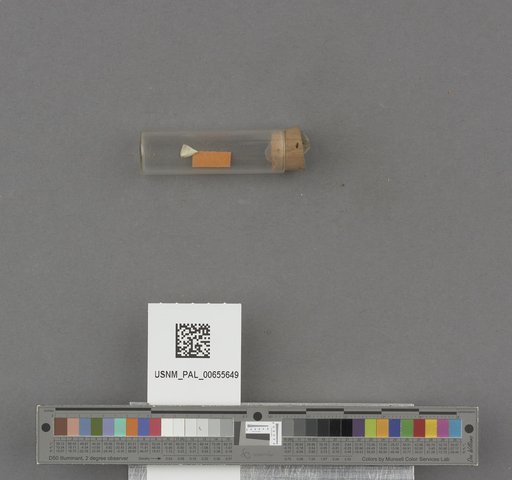 NSF ADBC EPICC TCN