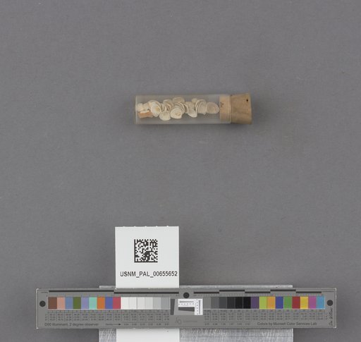 NSF ADBC EPICC TCN