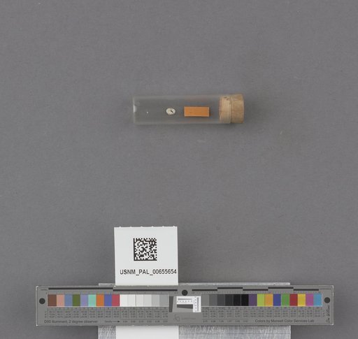 NSF ADBC EPICC TCN