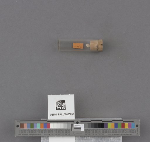 NSF ADBC EPICC TCN