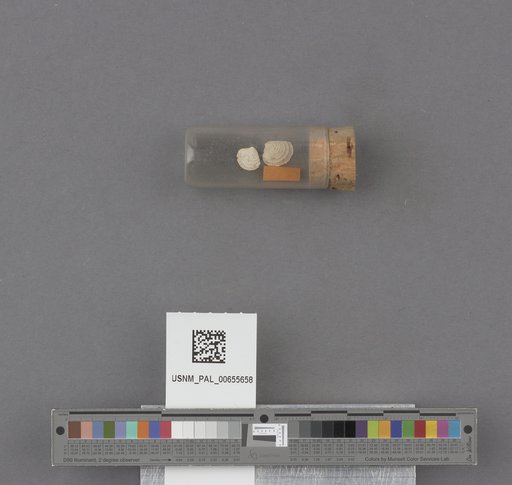 NSF ADBC EPICC TCN