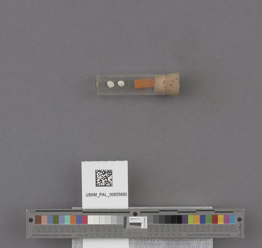 NSF ADBC EPICC TCN