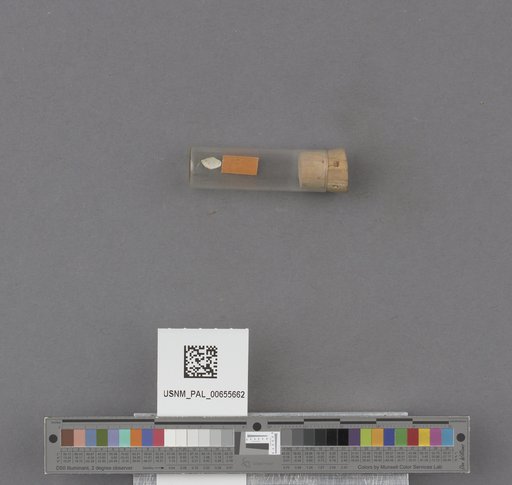NSF ADBC EPICC TCN