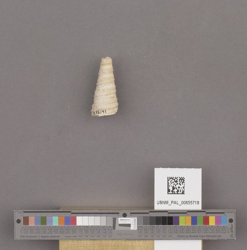 NSF ADBC EPICC TCN