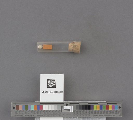 NSF ADBC EPICC TCN