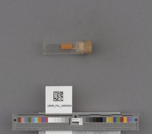 NSF ADBC EPICC TCN