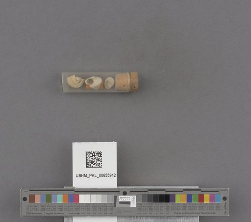 NSF ADBC EPICC TCN
