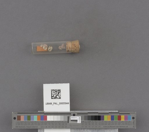 NSF ADBC EPICC TCN