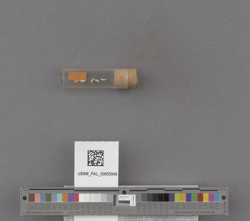 NSF ADBC EPICC TCN
