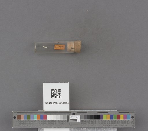 NSF ADBC EPICC TCN