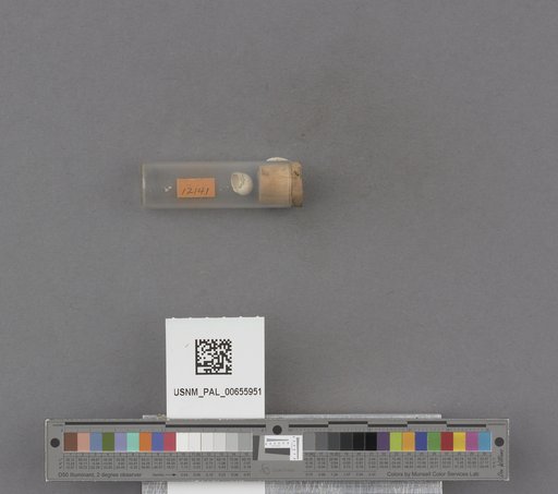 NSF ADBC EPICC TCN