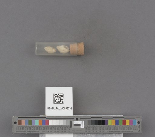 NSF ADBC EPICC TCN