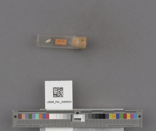 NSF ADBC EPICC TCN