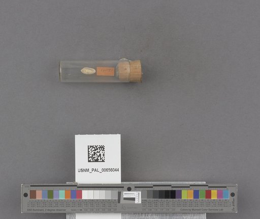 NSF ADBC EPICC TCN