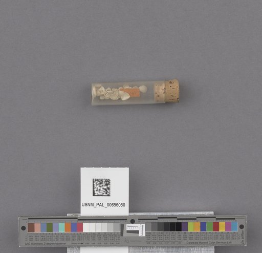 NSF ADBC EPICC TCN