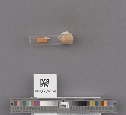 NSF ADBC EPICC TCN