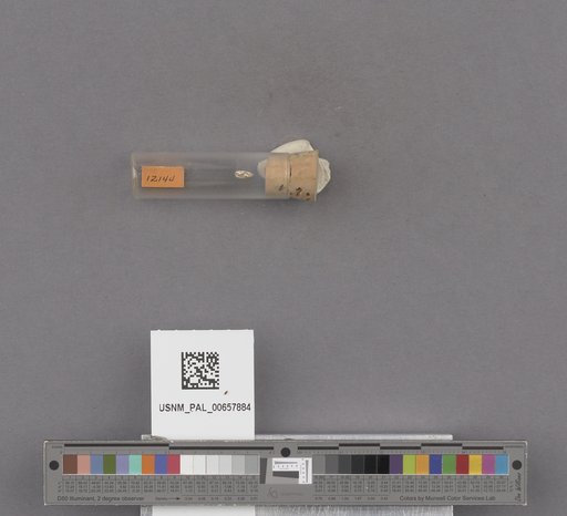 NSF ADBC EPICC TCN