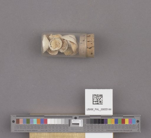 NSF ADBC EPICC TCN