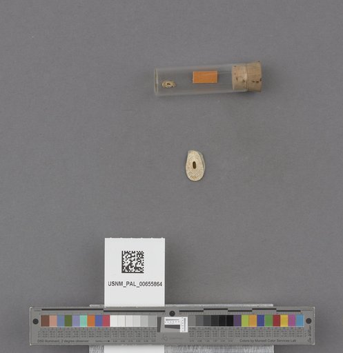 NSF ADBC EPICC TCN