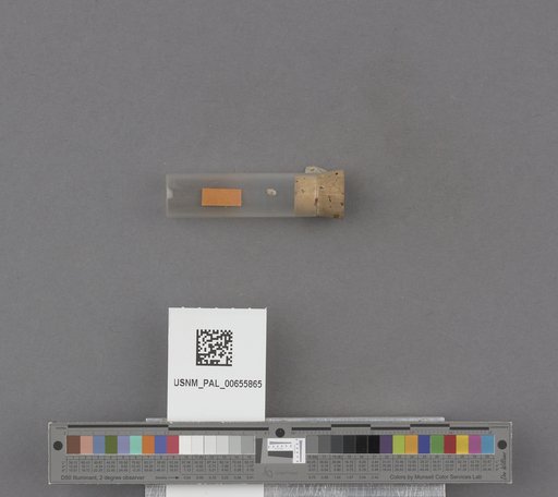 NSF ADBC EPICC TCN