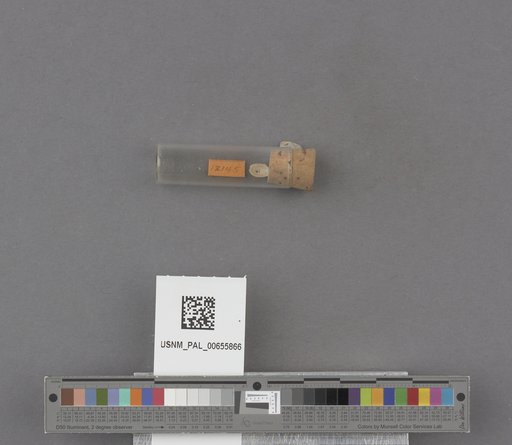 NSF ADBC EPICC TCN