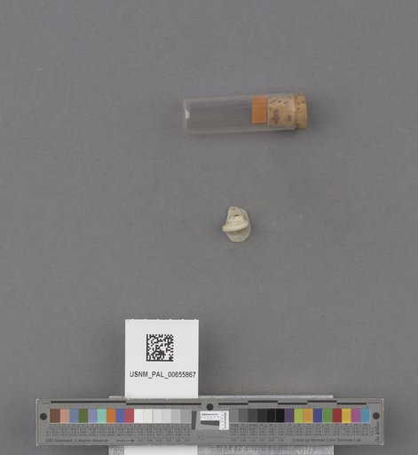 NSF ADBC EPICC TCN
